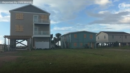 Giant Mosquitoes Plague North Carolina