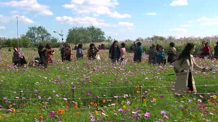 [날씨] 맑지만 찬 바람에 '쌀쌀'...일요일까지 계속 / YTN