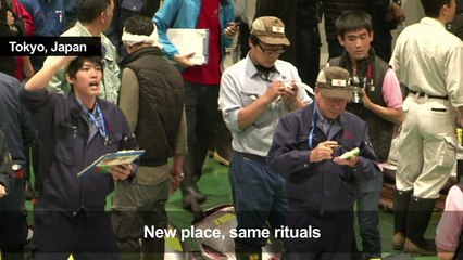 Tokyo’s ‘new Tsukiji’ market springs into action