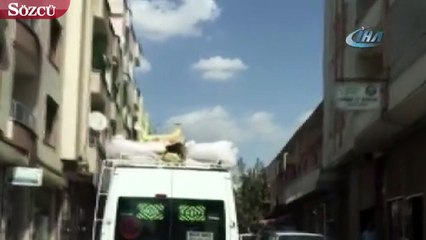 Keçiyi valiz gibi üst bagajda taşıdı