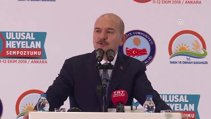 Soylu : "Yağmuru Yüce Allah Yağdırdı Ama Dere Yataklarına Evleri Yapanlar İnsanlardı"
