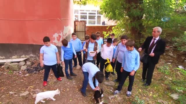 Öğrenciler Sosyal Sorumluluk Projesi Hazırlama Görevini Sokak Hayvanları ile Paylaştı