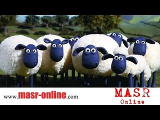 صوت الخروف ماء ماء ماااء - للاطفال