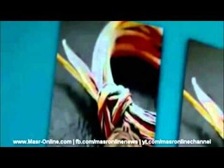 الفرق بين الاجنبي والعربي لما يتفرجوا علي فيلم رومانسي  Egyptian Vines