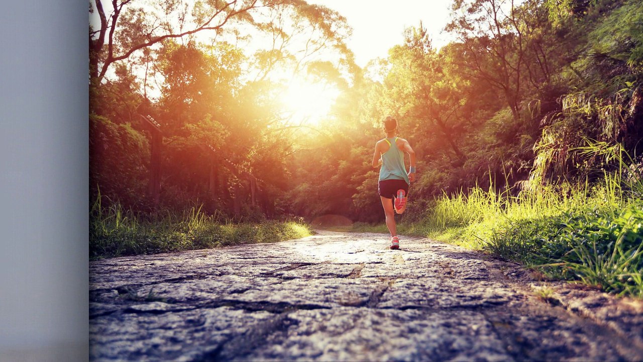 Chiropractic Care in Massapequa, NY - Back to Health Medical