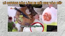 Lê Dương Bảo Lâm lúng túng khi lần đầu vào bếp  Khi chàng Vào Bếp Tập 11 (18092018)