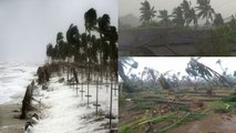 Titli Cyclone से Andhra के Srikakulam में जड़ से उखड़ गए पेड़ |Watch Video| वनइंडिया हिंदी