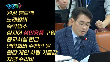 [팔팔영상] 아이 유치원비 받아서 '성인용품' 샀다고요? / YTN