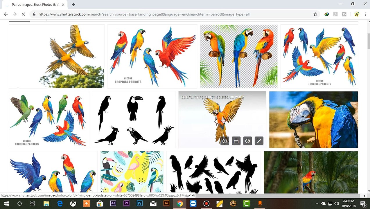 How to Download Sutterstock Image Without Watermark