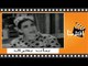 بنات بحرى | الفيلم العربي | عبدالفتاح القصري وزينات صدقي