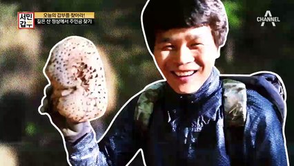 심봤다(X) 버섯 봤다!(O) 15억 원을 벌어준 버섯의 정체는?!