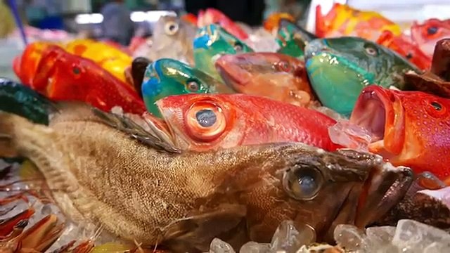 Japanese Street Food & GOLD SPOT WRASSE Sashimi Okinawa Seafood Japan
