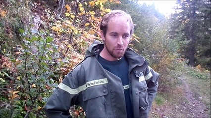 Dans la forêt de Thorens, on coupe les plantes pour faire pousser les arbres