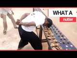 Man smashes world record for smashing walnuts with his head | SWNS TV