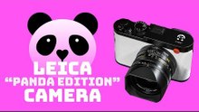 Leica has a new “Panda Edition” camera