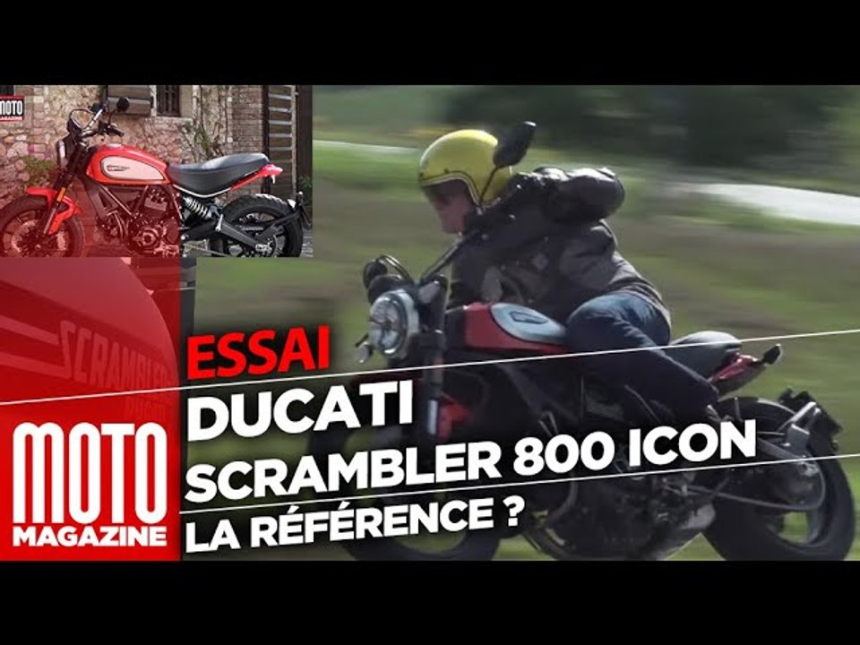 Ducati Scrambler 800 Icon 2019 - Toujours la référence