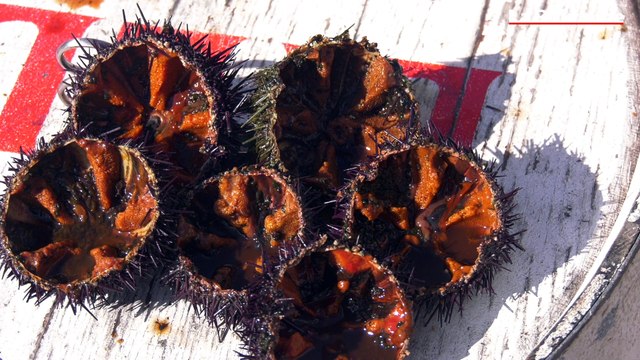 On bouge où ce week-end ? notre bon plan pour sortir le week-end