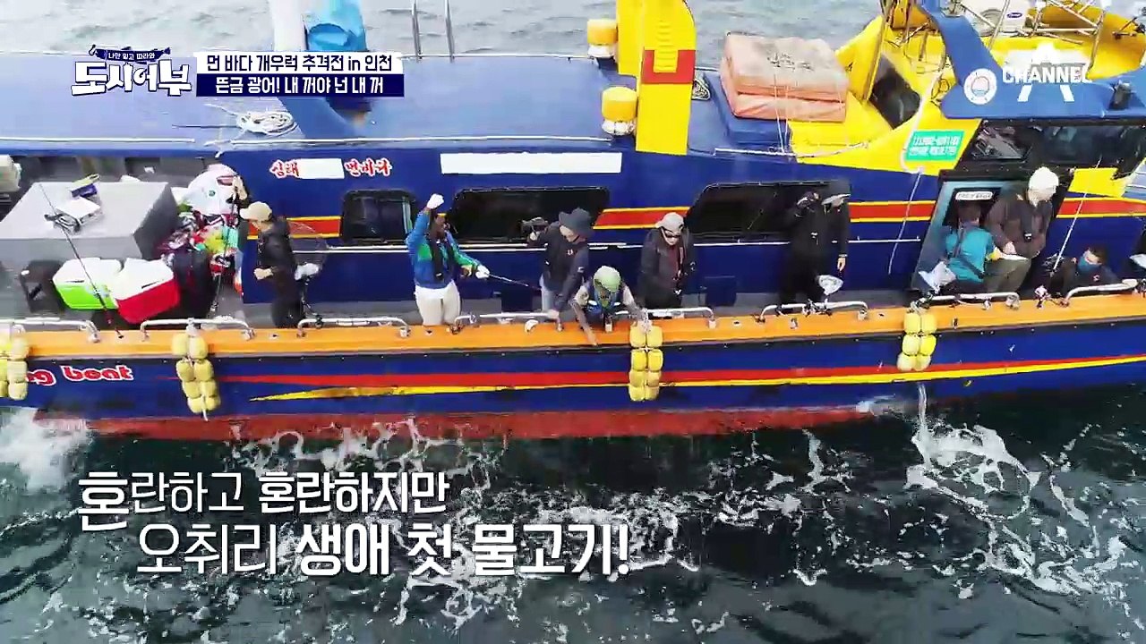 572! 오칠이가 광어 주인?! (내꺼야 1차전 발발) 광어 주인은 바로 경규!