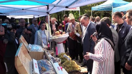 'Bağ bozumu ve Şire Hazırlanma' etkinliği - KAHRAMANMARAŞ