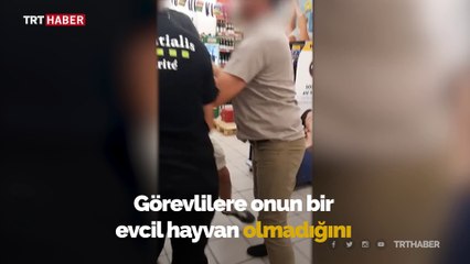 Fransa'da görme engelli adam köpeğiyle birlikte marketten dışarı atıldı
