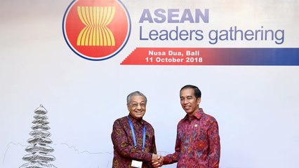 Tun M addresses Asean leaders in Bali