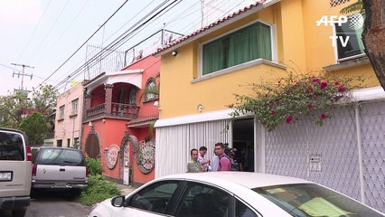 Leones como mascotas en Ciudad de México