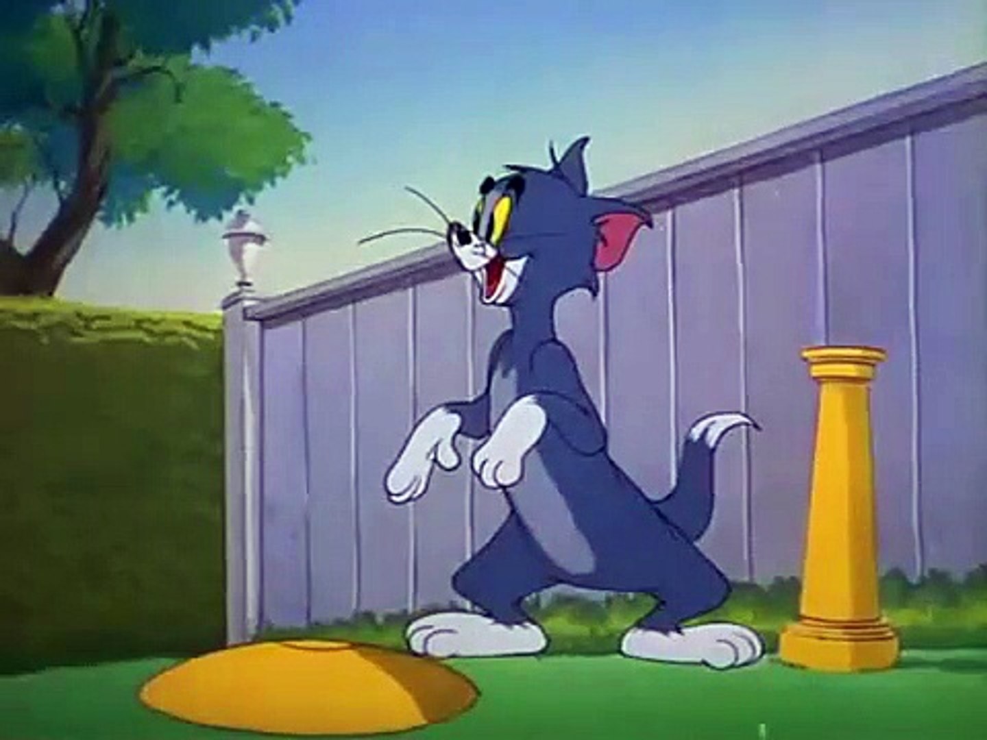 Tom and Jerry - Little Runaway - video Dailymotion