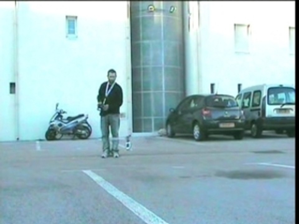 Premier vol honey bee king2