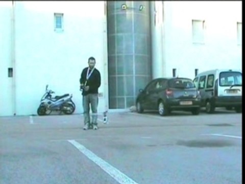 Premier vol honey bee king2