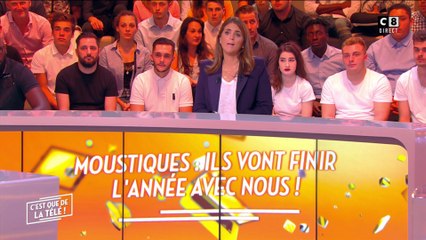 Les moustiques présents jusqu'à Noël ?