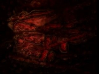 Neurosis - A sun that never sets