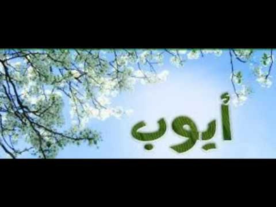 سفر أيوب الإصحاح التاسع والعشرون