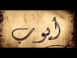 سفر أيوب الإصحاح الثاني عشر