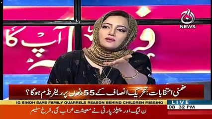 Debate Between Miftah Ismail And Farrukh Saleem