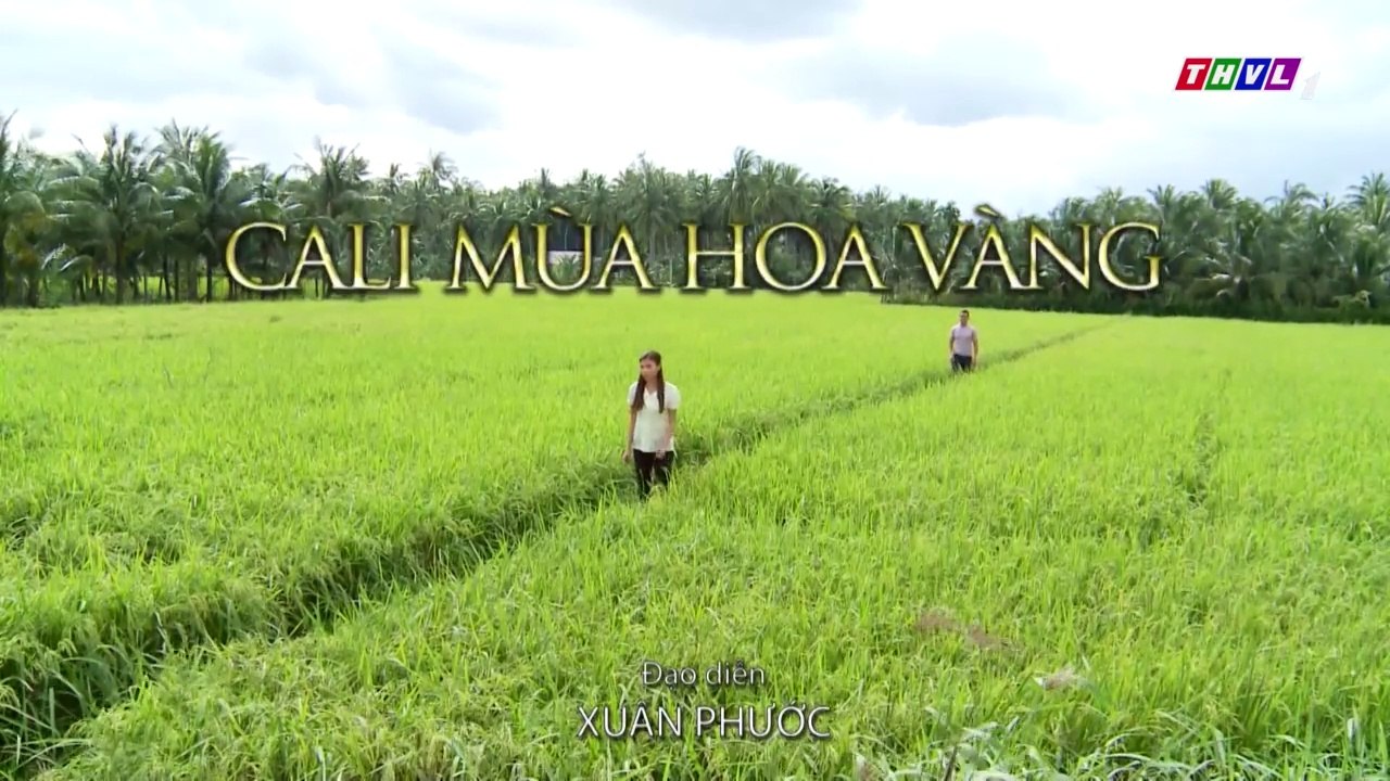 Cali Mùa Hoa Vàng Tập 19 - Phim Việt Nam