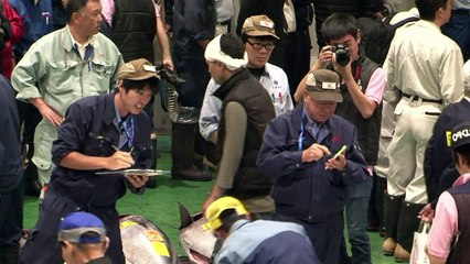 Tóquio tem novo mercado de atum