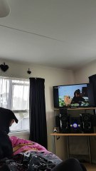 Dog Loves Watching TV
