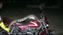 Il tente de capturer un serpent enorme qui s'est réfugié sur une moto