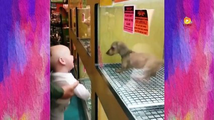 طرائف اطفال مع الحيوانات مضحكة