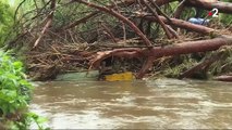 Intempéries : les rivières obstruées par des débris végétaux ?