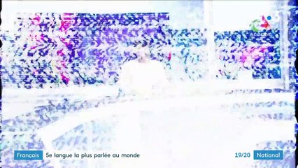 Français : cinquième langue la plus parlée au monde, mais par qui et où ?
