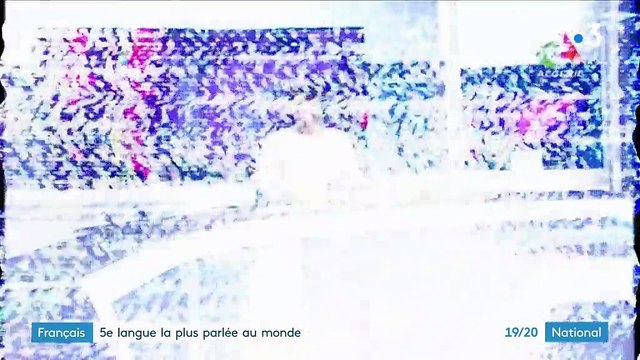 Français : cinquième langue la plus parlée au monde, mais par qui et où ?