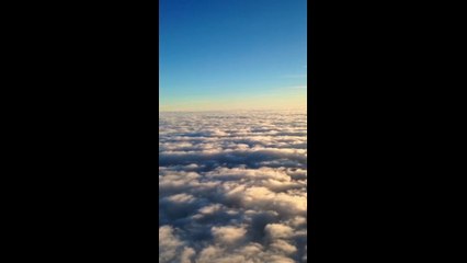 Traumfrequenz - Ein Leben voller Snaps