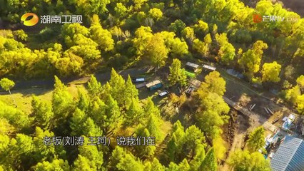 《亲爱的客栈2》：开播倒计时2天 武艺和你一起创造美好生活  The Inn S2【湖南卫视官方频道】