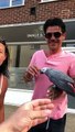 Couple get kicked out of Wetherspoons for bringing their pet parrot