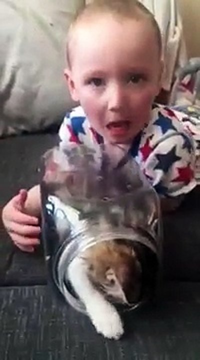 kitten in a jar