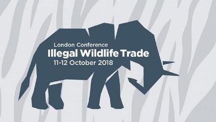 African rhinos 'have more bodyguards than I do' – Prince Williams