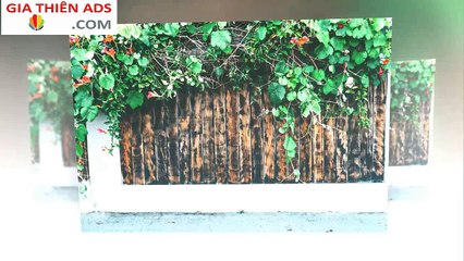 Karaoke Bình Minh Dịu Êm