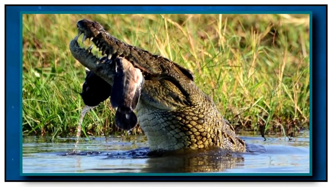 COMO SERIA O MUNDO SE OS DINOSSAUROS AINDA EXISTISSEM  l Almanaque x