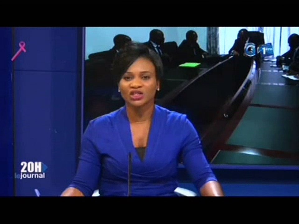 RTG - Reunion du ministre de l’eau et de l’énergie avec  le secrétaire exécutif du conseil des ministres africains